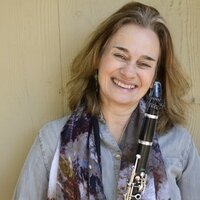 Professional orchestral clarinetist and band director with 30 years of teaching experience will teach online lessons